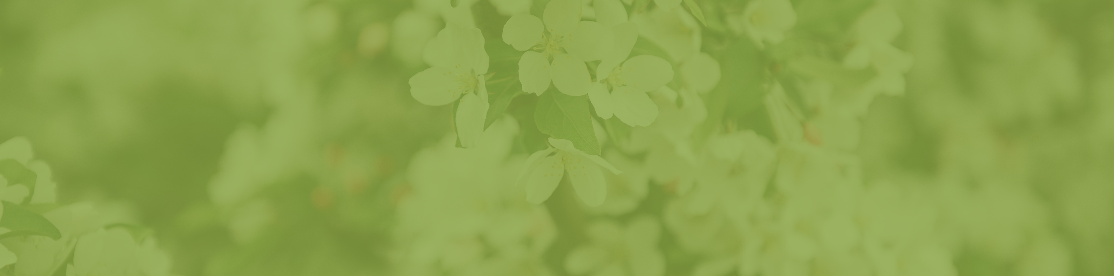 fontimageverthistorique BoisFranc